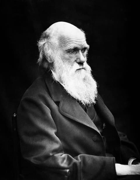Portrait of Charles Darwin