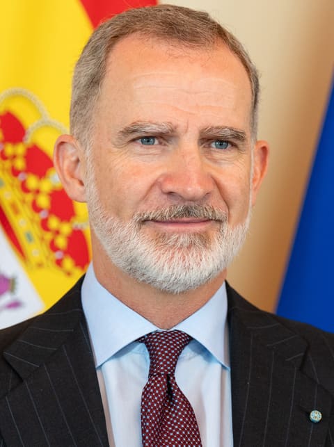 Portrait of Felipe VI