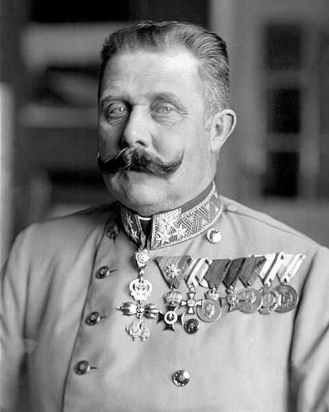 Portrait of Franz Ferdinand