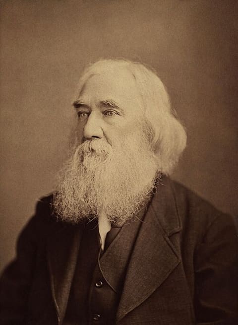 Portrait of Lysander Spooner