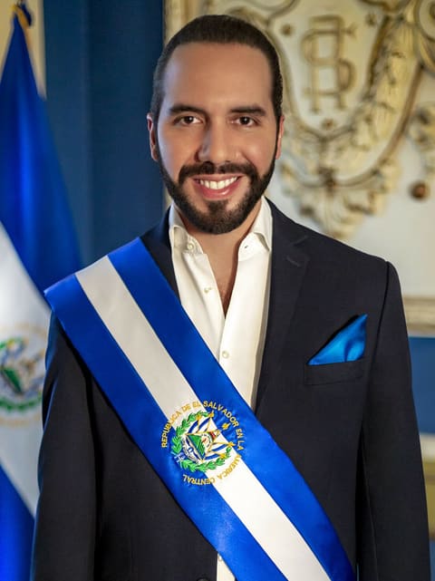 Portrait of Nayib Bukele