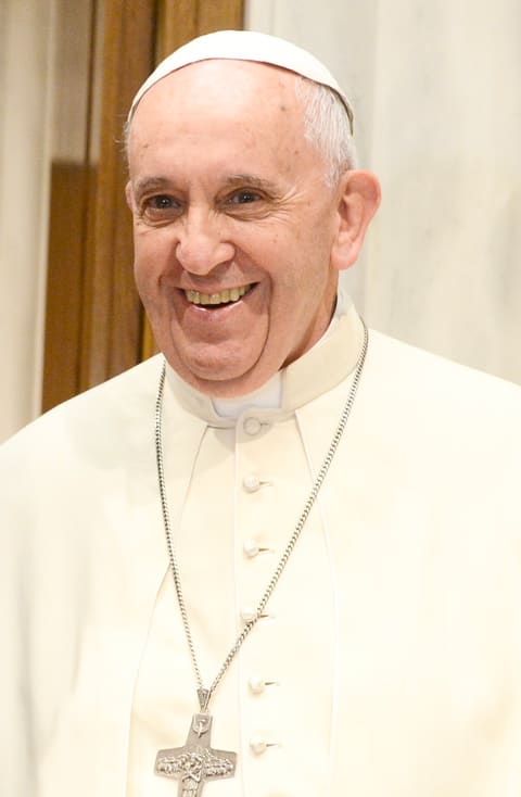 Portrait of Pope Francis