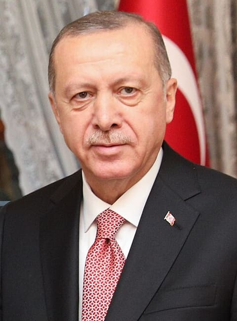 Portrait of Recep Tayyip Erdoğan